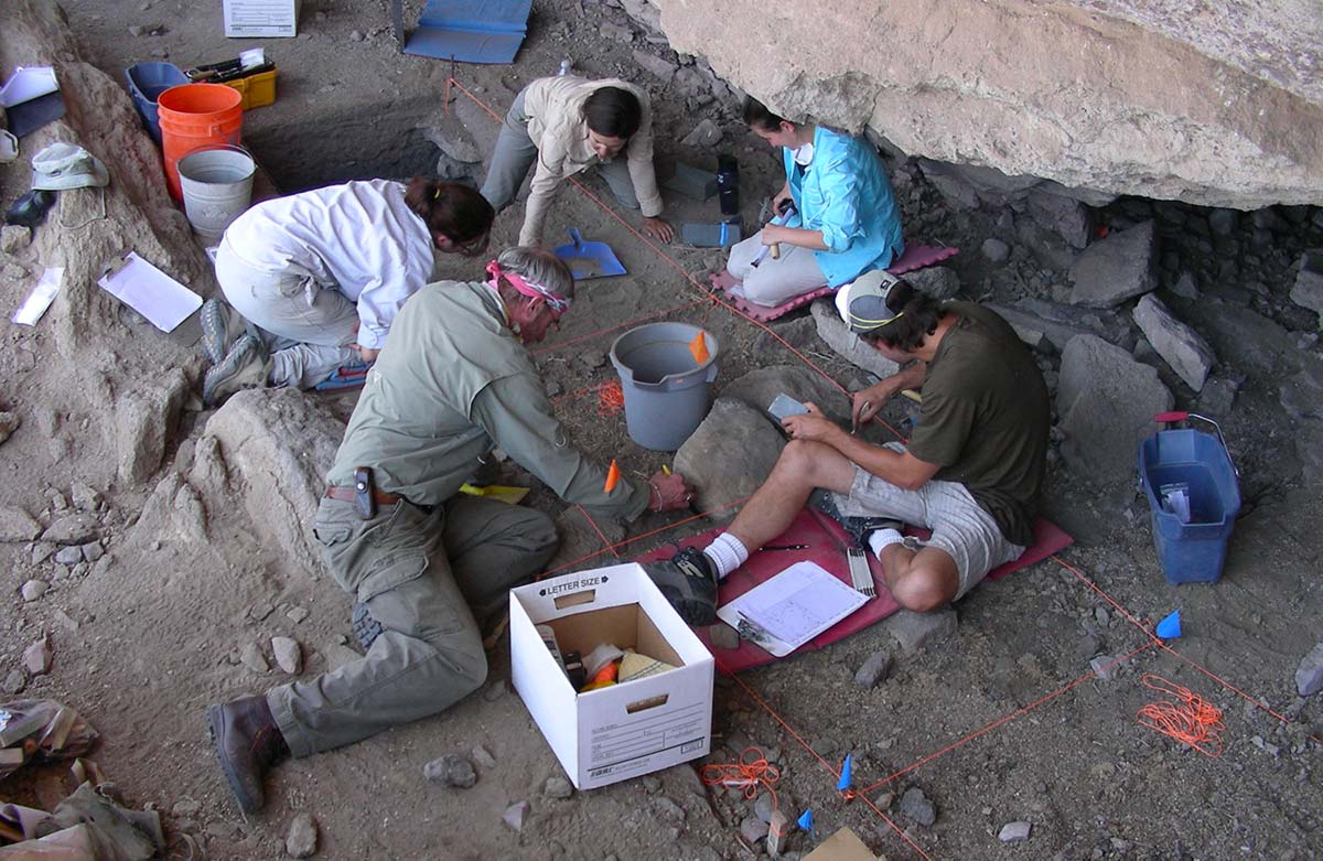 Excavation at site